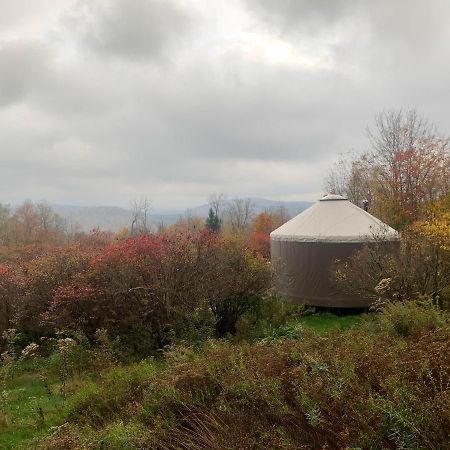 Livingston Manor Yurt Hotel Parksville Bagian luar foto