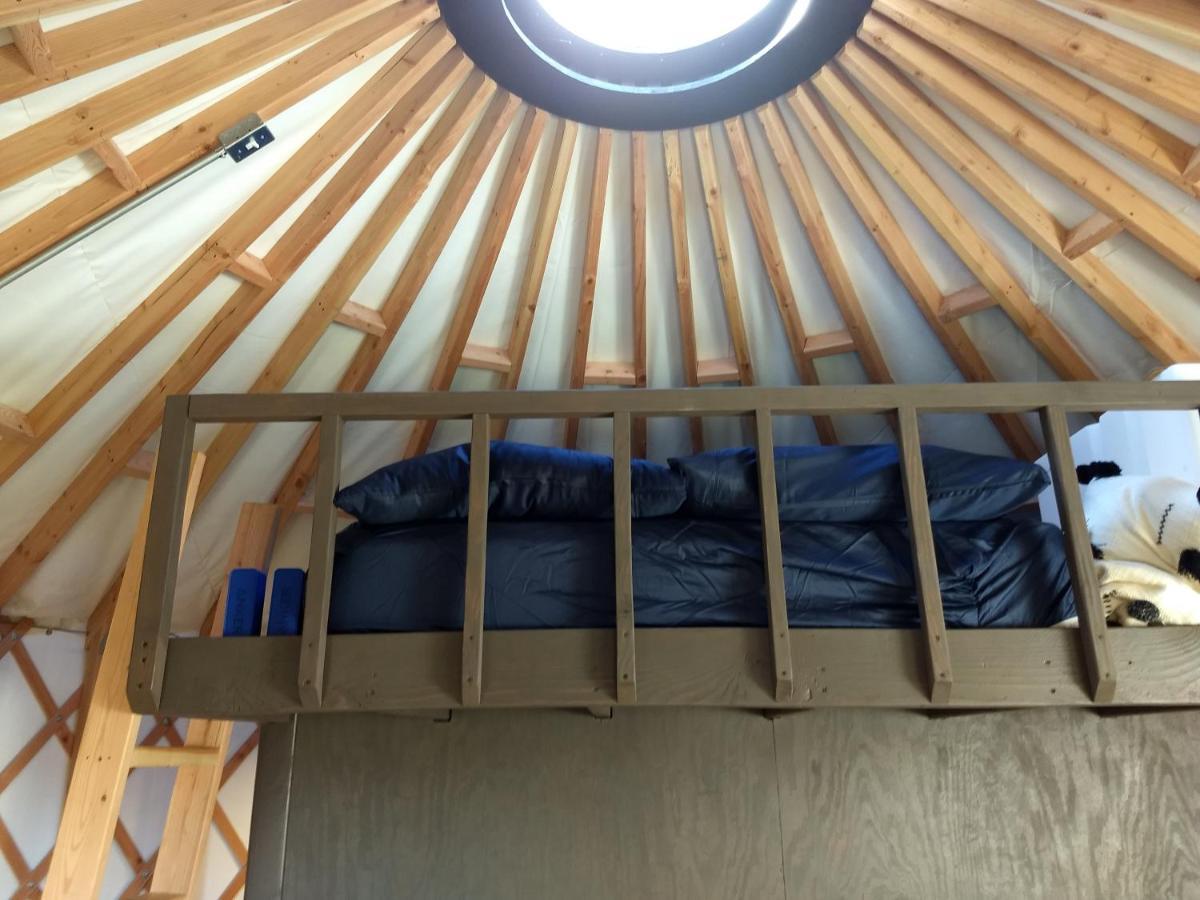 Livingston Manor Yurt Hotel Parksville Bagian luar foto